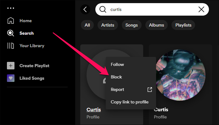 Spotify block profile