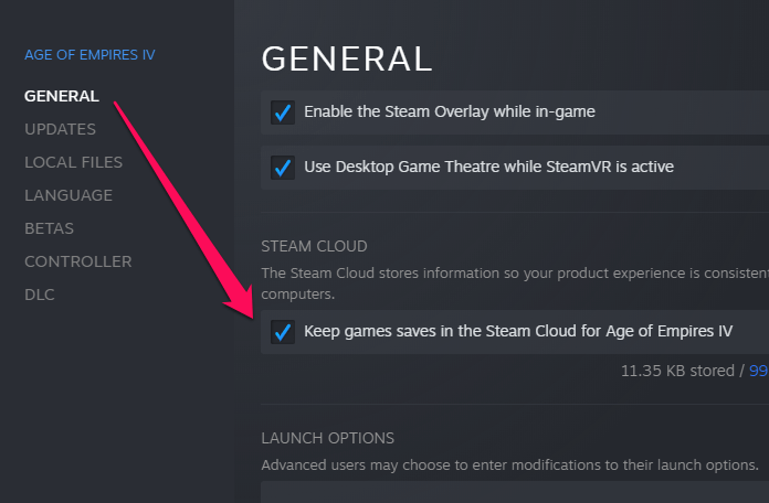 Steam game general settings